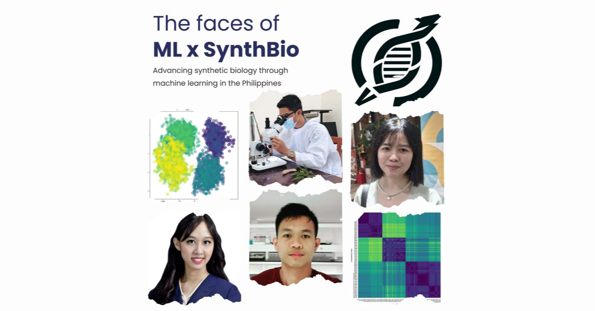 Meet the TIPs fellows pioneering synthetic biology and machine learning in the Philippines