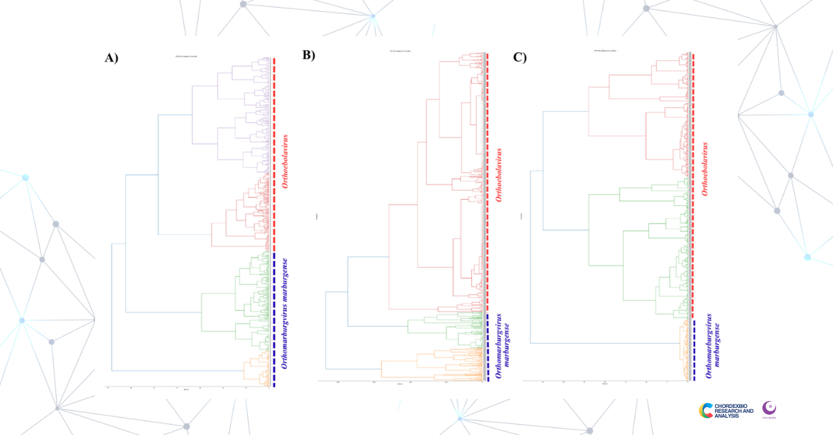 ChordexBio developed a machine learning approach to rapidly map genomic diversity across Ebolaviruses